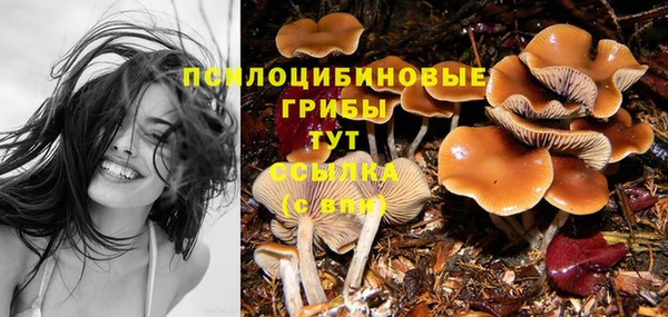 PSILOCYBIN Михайловск