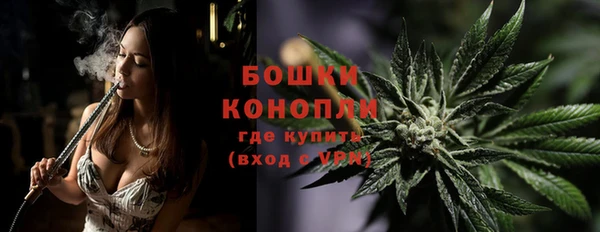 PSILOCYBIN Михайловск