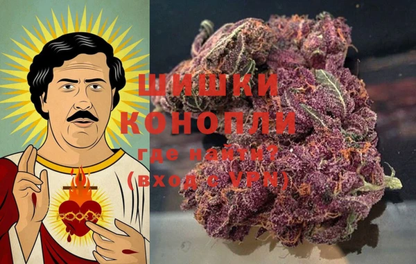 PSILOCYBIN Михайловск