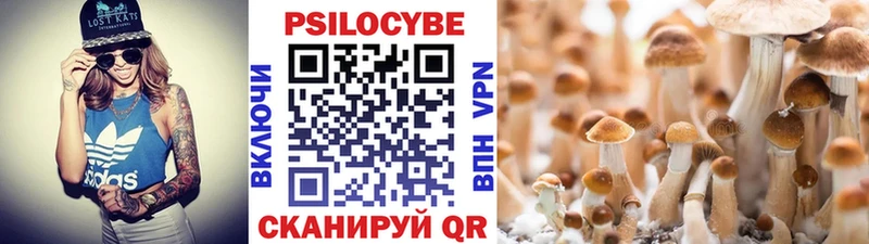 цена   Нариманов  Галлюциногенные грибы Psilocybine cubensis 